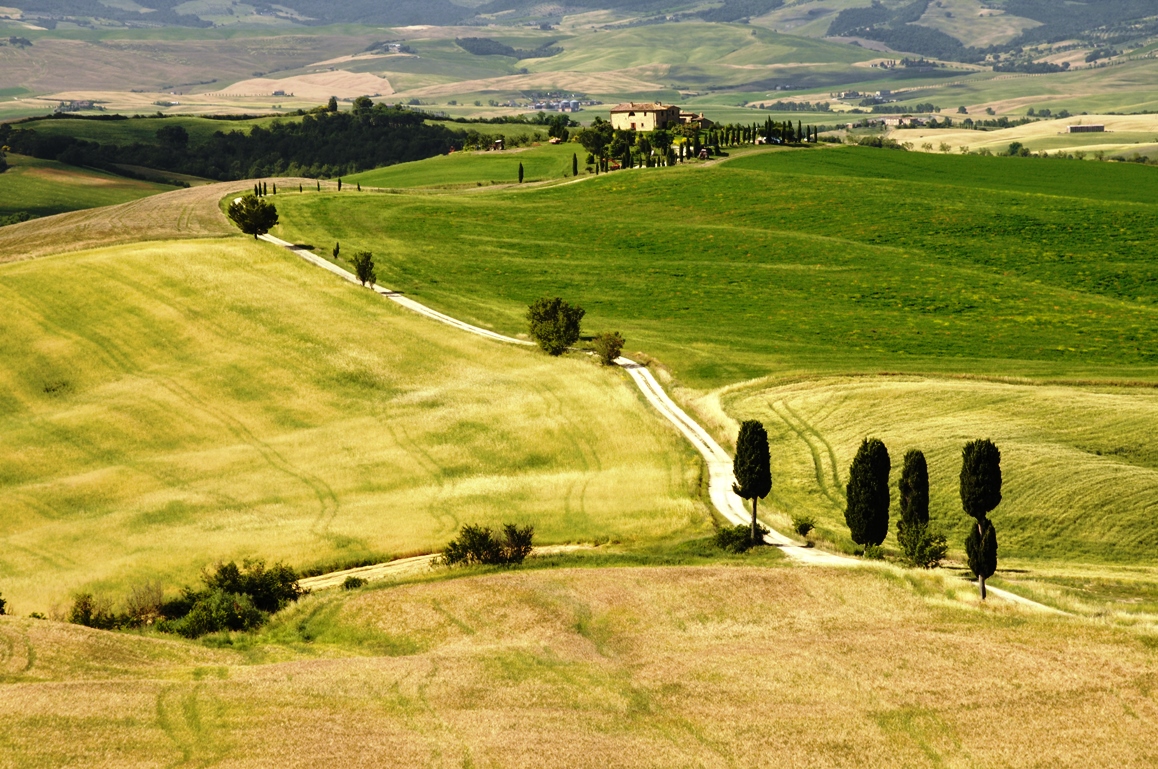 AgriPlanet - Immagine 1